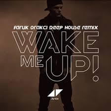 Avicii - Wake Me Up (Single) 2013