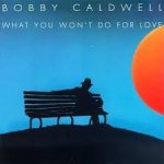Bobby Caldwell - What You Won't Do for Love (1978)