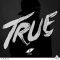 Avicii (アヴィーチー) - True (2013)