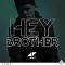 Avicii (アヴィーチー) - Hey Brother (Single) 2013