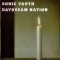 Sonic Youth (ソニック ユース) - Daydream Nation (1988)
