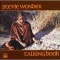 Stevie Wonder (スティーヴィー ワンダー) - Talking Book (1972)